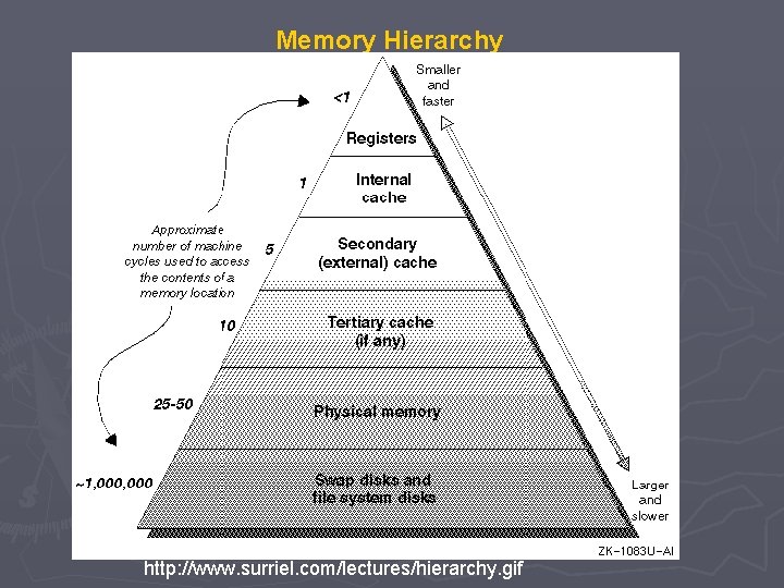 Memory Hierarchy http: //www. surriel. com/lectures/hierarchy. gif 
