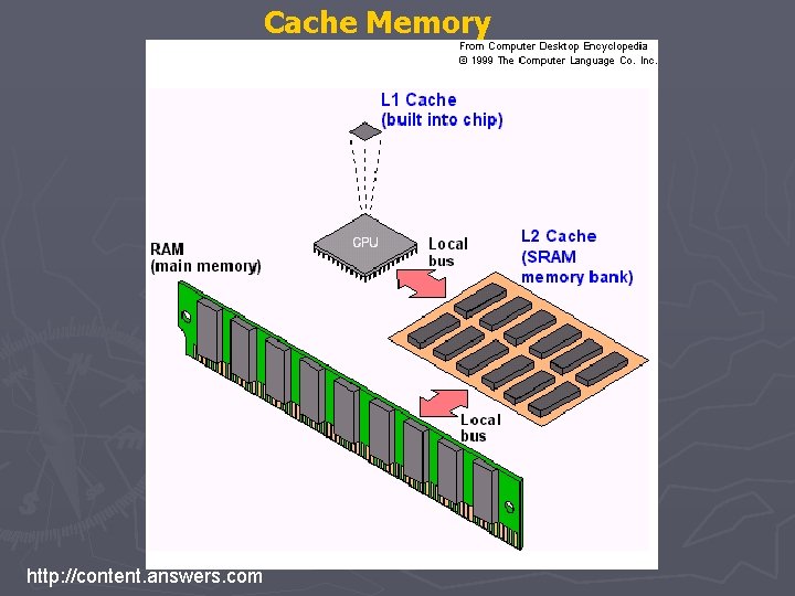 Cache Memory http: //content. answers. com 