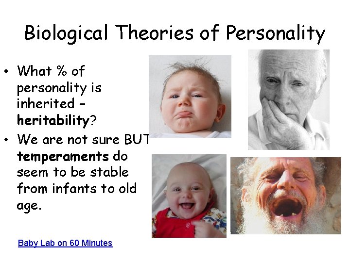Biological Theories of Personality • What % of personality is inherited – heritability? •