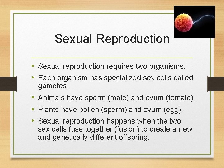 Sexual Reproduction • Sexual reproduction requires two organisms. • Each organism has specialized sex