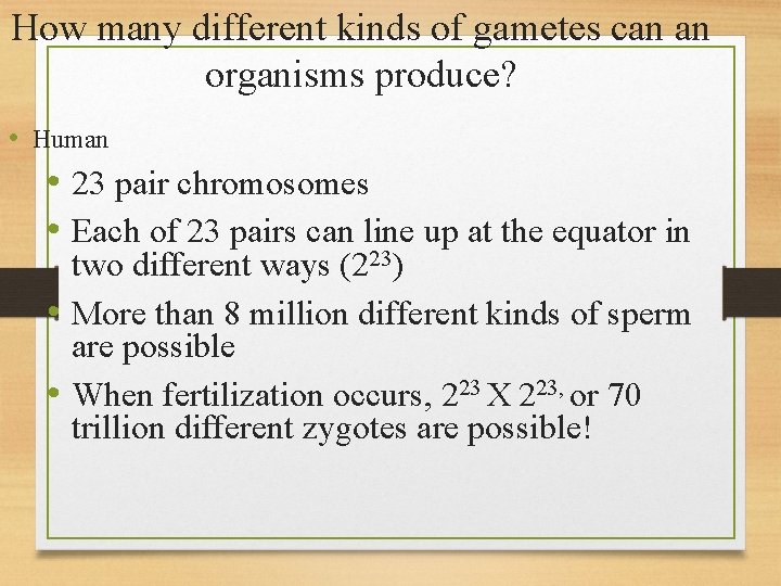 How many different kinds of gametes can an organisms produce? • Human • 23
