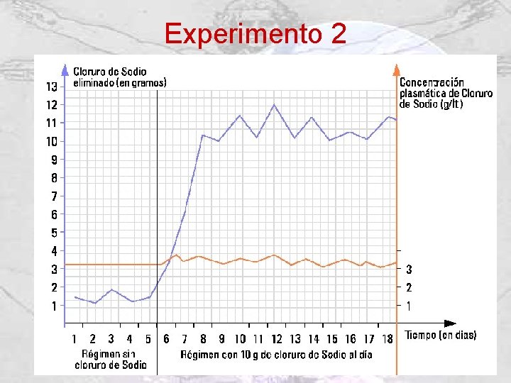 Experimento 2 