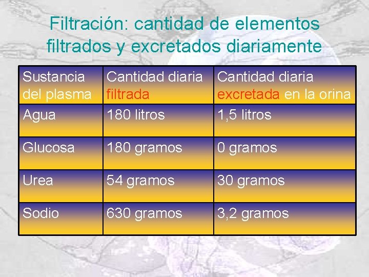Filtración: cantidad de elementos filtrados y excretados diariamente Sustancia del plasma Agua Cantidad diaria