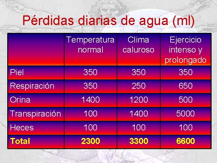 Pérdidas diarias de agua (ml) Temperatura Clima normal caluroso Piel 350 Ejercicio intenso y