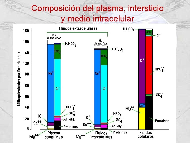 Composición del plasma, intersticio y medio intracelular 