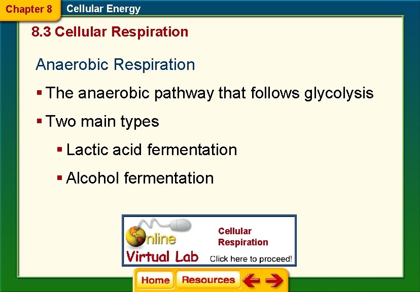 Chapter 8 Cellular Energy Section 1 How Organisms