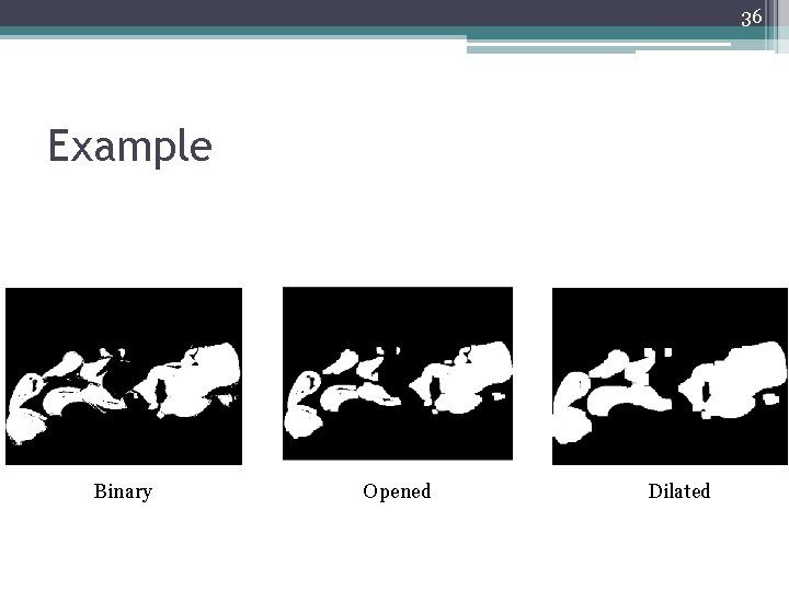 36 Example Binary Opened Dilated 