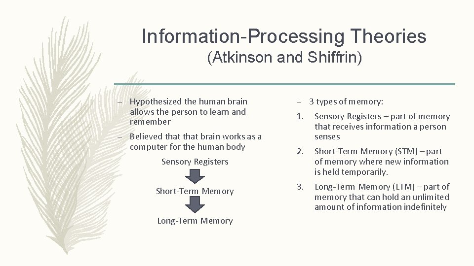 Information-Processing Theories (Atkinson and Shiffrin) – Hypothesized the human brain allows the person to