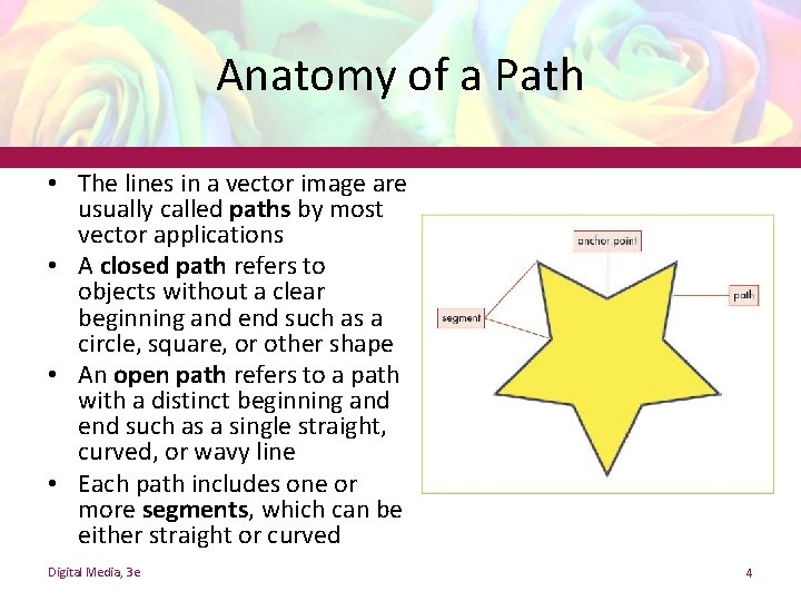 Anatomy of a Path • The lines in a vector image are usually called