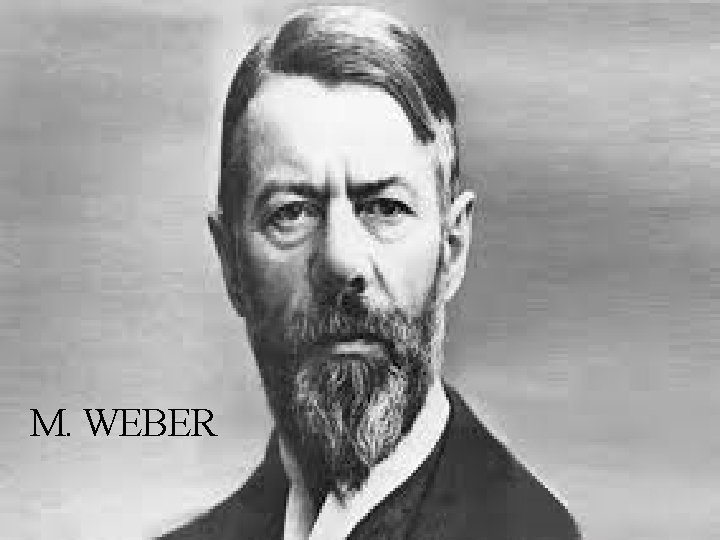 M. WEBER 