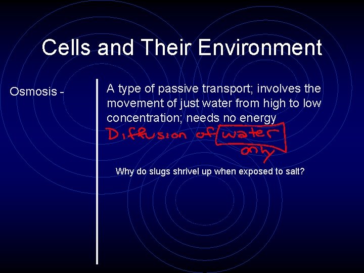 Cells and Their Environment Osmosis - A type of passive transport; involves the movement Cells and Their Environment Osmosis - A type of passive transport; involves the movement