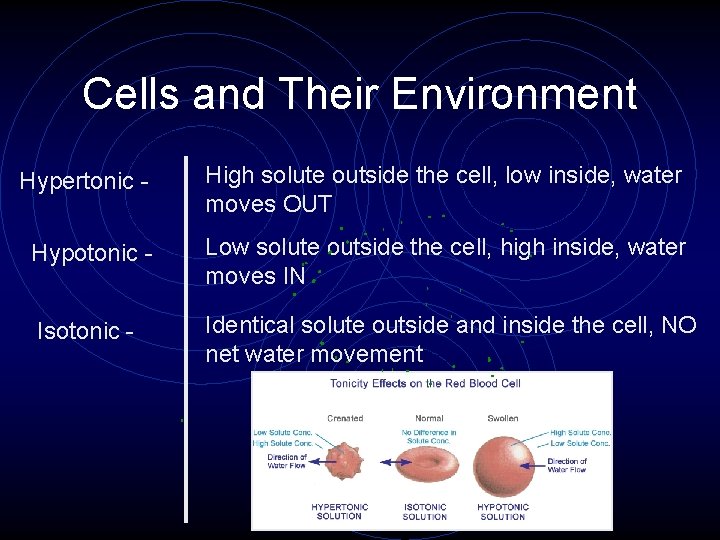Cells and Their Environment Hypertonic - High solute outside the cell, low inside, water Cells and Their Environment Hypertonic - High solute outside the cell, low inside, water