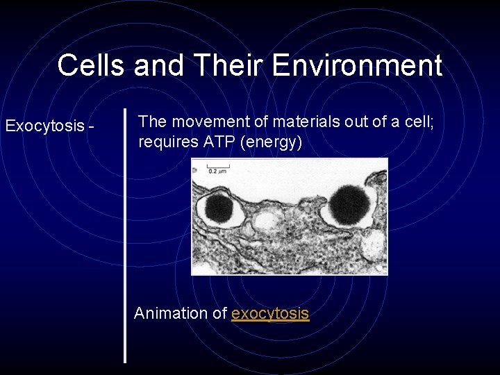 Cells and Their Environment Exocytosis - The movement of materials out of a cell; Cells and Their Environment Exocytosis - The movement of materials out of a cell;