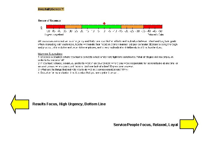 Results Focus, High Urgency, Bottom Line Service/People Focus, Relaxed, Loyal 