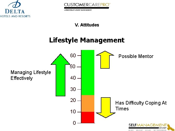 V. Attitudes Lifestyle Management Possible Mentor Managing Lifestyle Effectively Has Difficulty Coping At Times