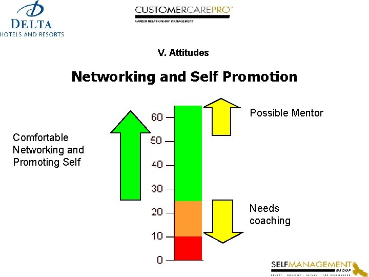 V. Attitudes Networking and Self Promotion Possible Mentor Comfortable Networking and Promoting Self Needs