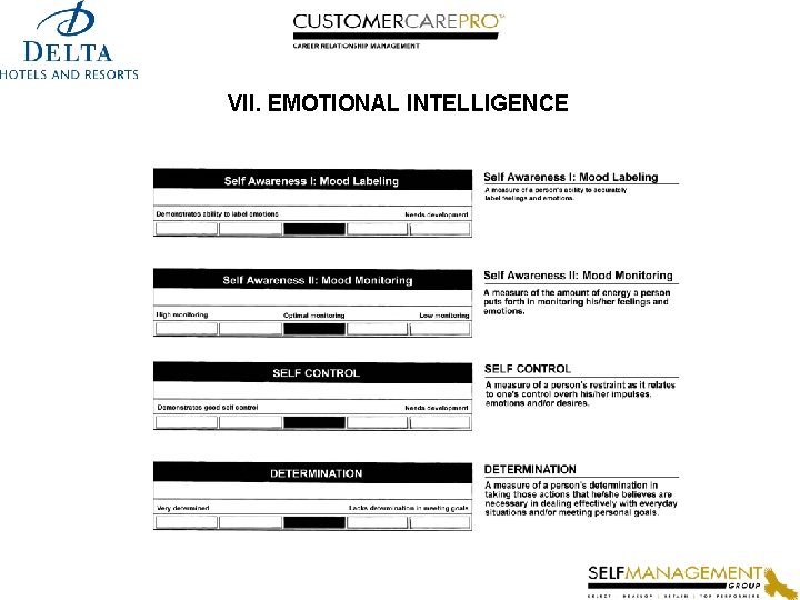 VII. EMOTIONAL INTELLIGENCE 