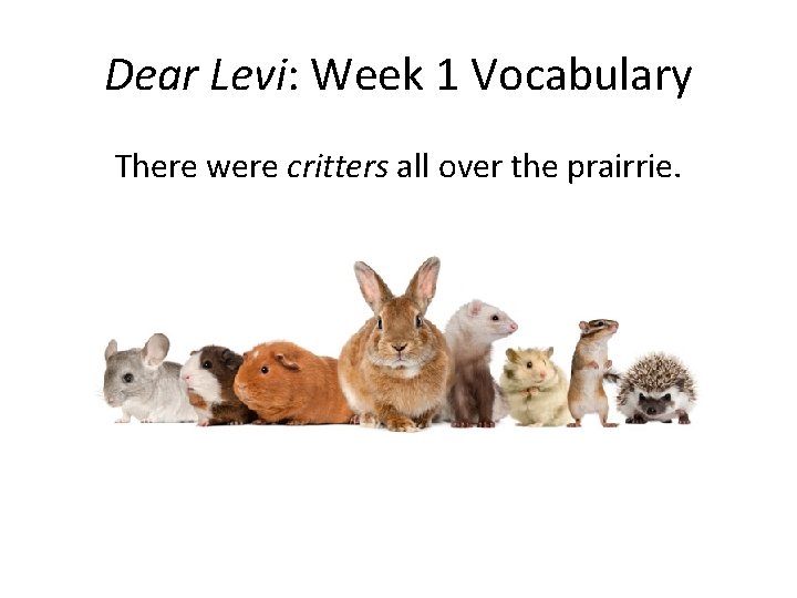 Dear Levi: Week 1 Vocabulary There were critters all over the prairrie. 