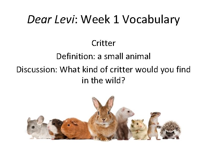 Dear Levi: Week 1 Vocabulary Critter Definition: a small animal Discussion: What kind of