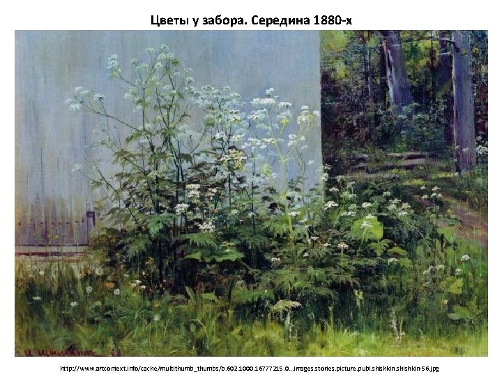 Цветы у забора. Середина 1880 -х http: //www. artcontext. info/cache/multithumb_thumbs/b. 602. 1000. 16777215. 0.