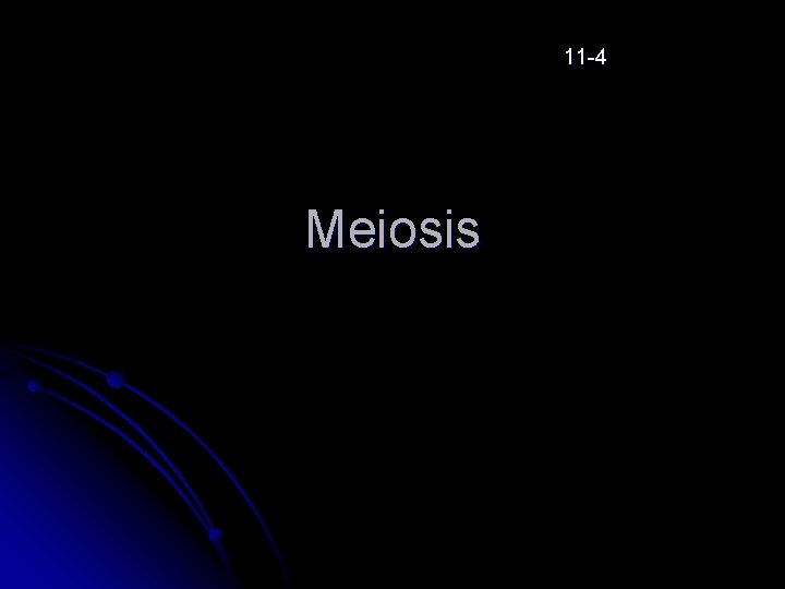 11 -4 Meiosis 