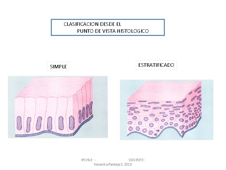 CLASIFICACION DESDE EL PUNTO DE VISTA HISTOLOGICO SIMPLE ESTRATIFICADO IPCHILE DOCENTE: Veronica Pantoja S.
