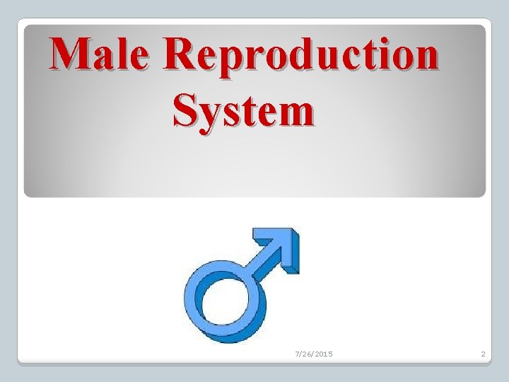 Male Reproduction System 7/26/2015 2 