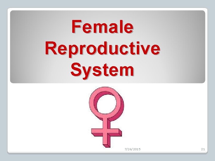 Female Reproductive System 7/26/2015 21 