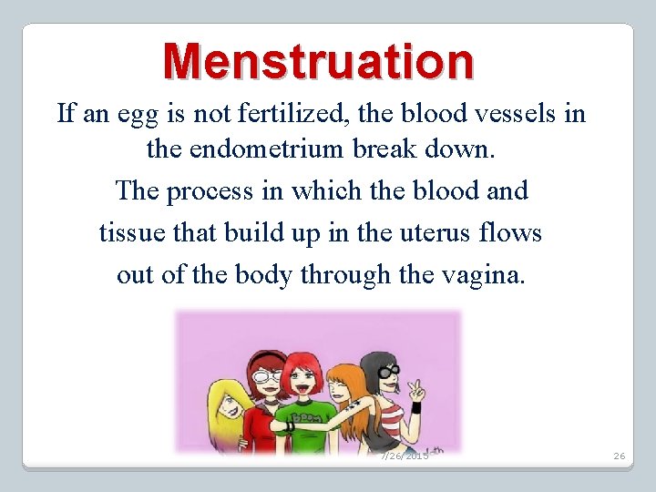 Menstruation If an egg is not fertilized, the blood vessels in the endometrium break