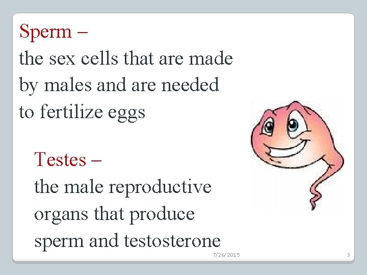 Sperm – the sex cells that are made by males and are needed to