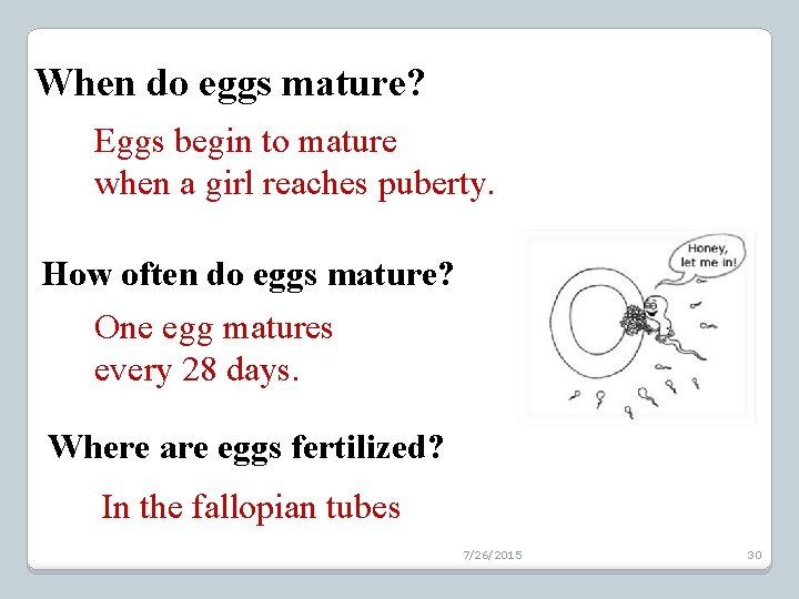 When do eggs mature? Eggs begin to mature when a girl reaches puberty. How