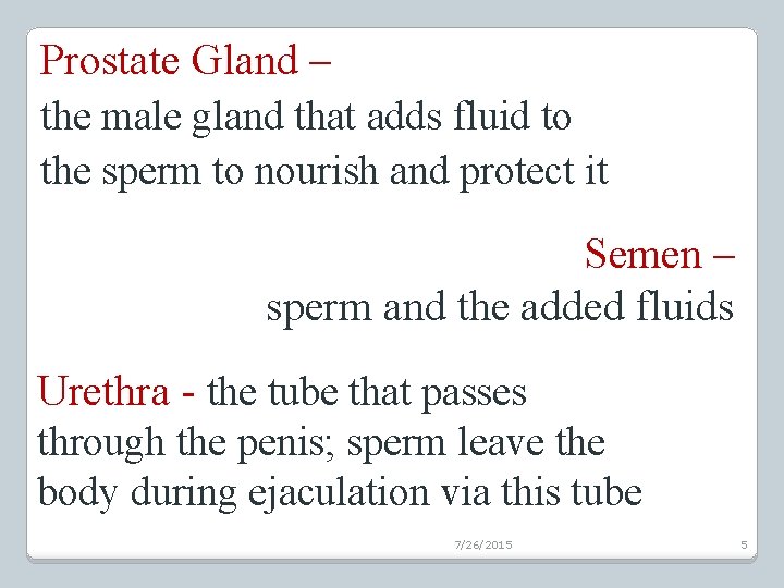 Prostate Gland – the male gland that adds fluid to the sperm to nourish
