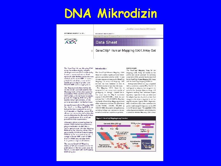 DNA Mikrodizin 