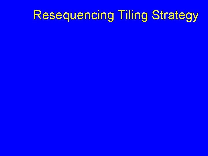 Resequencing Tiling Strategy 