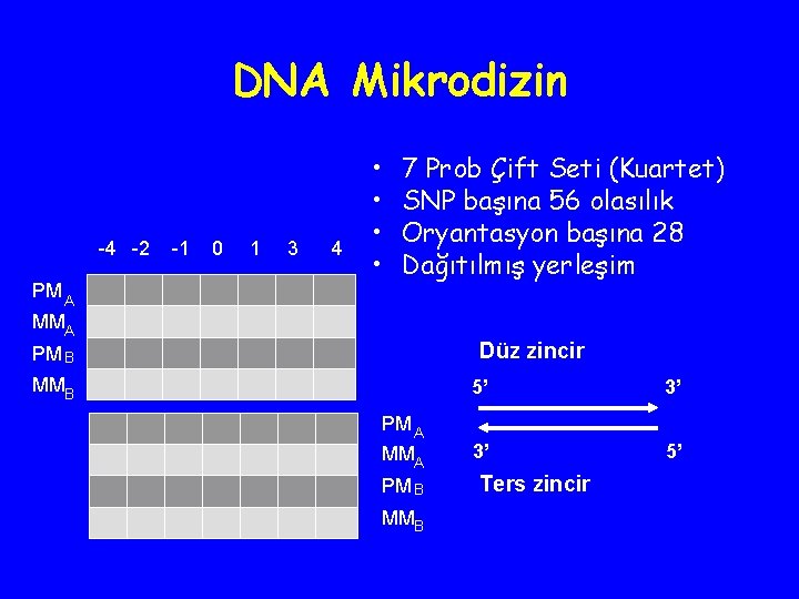 DNA Mikrodizin -4 -2 PM A -1 0 1 3 4 • • 7