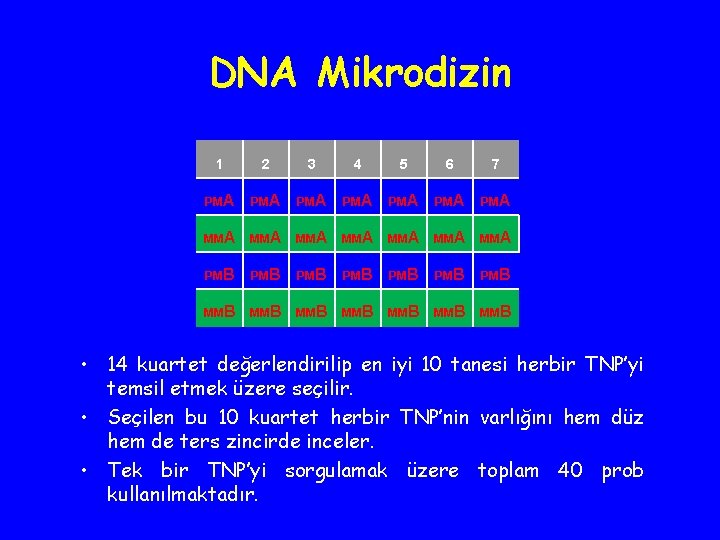 DNA Mikrodizin 1 2 3 4 5 6 7 PMA PMA MMA MMA PMB