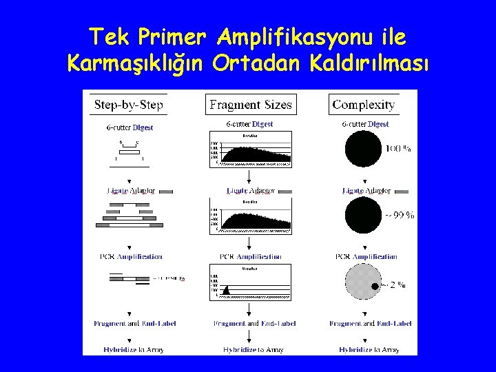 Tek Primer Amplifikasyonu ile Karmaşıklığın Ortadan Kaldırılması 