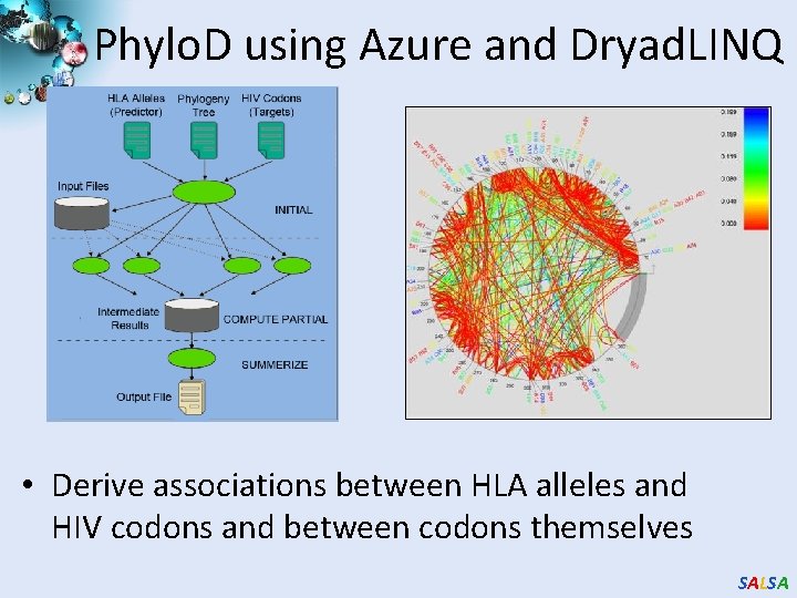 Phylo. D using Azure and Dryad. LINQ • Derive associations between HLA alleles and