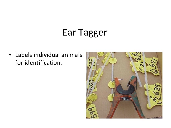 Ear Tagger • Labels individual animals for identification. 