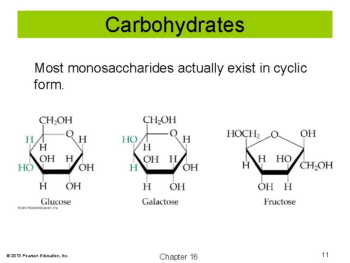 Carbohydrates Most monosaccharides actually exist in cyclic form. © 2013 Pearson Education, Inc. Chapter