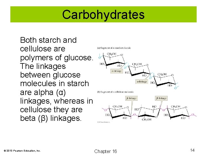 Carbohydrates Both starch and cellulose are polymers of glucose. The linkages between glucose molecules