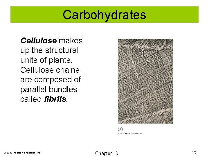 Carbohydrates Cellulose makes up the structural units of plants. Cellulose chains are composed of