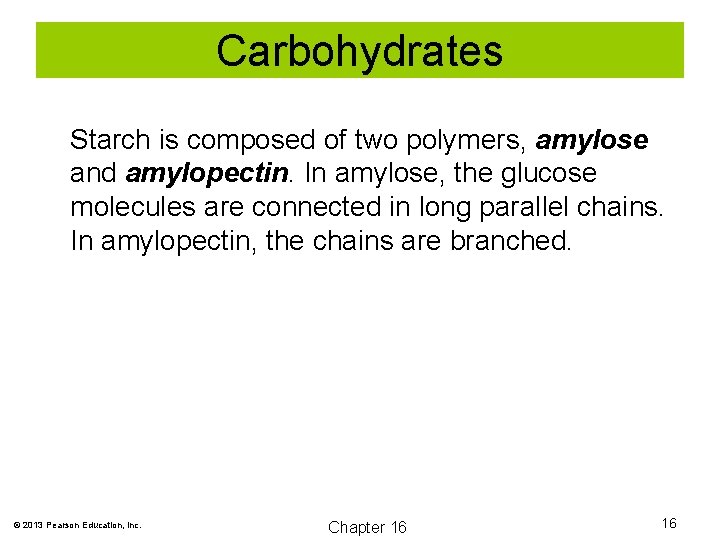 Carbohydrates Starch is composed of two polymers, amylose and amylopectin. In amylose, the glucose