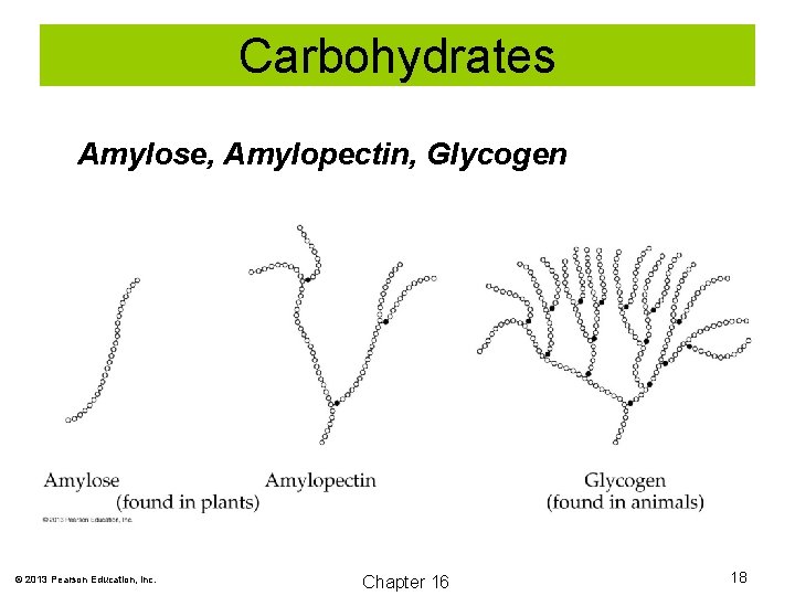 Carbohydrates Amylose, Amylopectin, Glycogen © 2013 Pearson Education, Inc. Chapter 16 18 