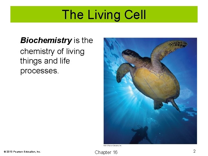 The Living Cell Biochemistry is the chemistry of living things and life processes. ©