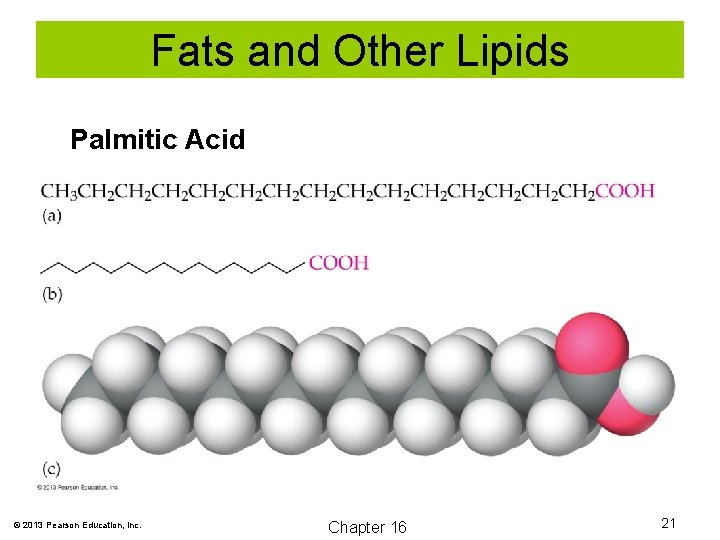 Fats and Other Lipids Palmitic Acid © 2013 Pearson Education, Inc. Chapter 16 21