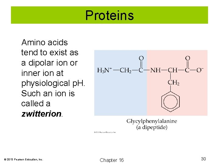 Proteins Amino acids tend to exist as a dipolar ion or inner ion at