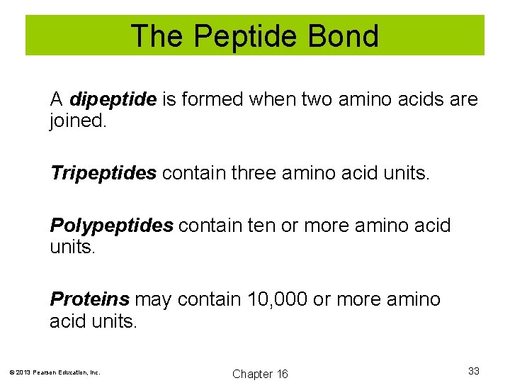 The Peptide Bond A dipeptide is formed when two amino acids are joined. Tripeptides
