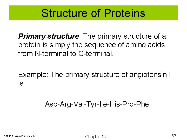 Structure of Proteins Primary structure: The primary structure of a protein is simply the