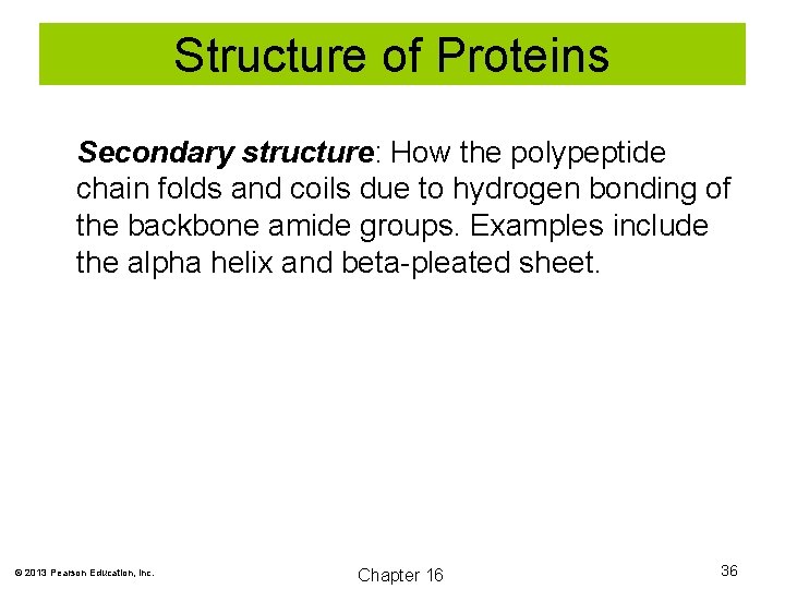 Structure of Proteins Secondary structure: How the polypeptide chain folds and coils due to